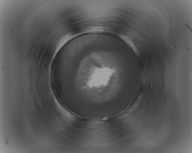 X0000091351475200708241235