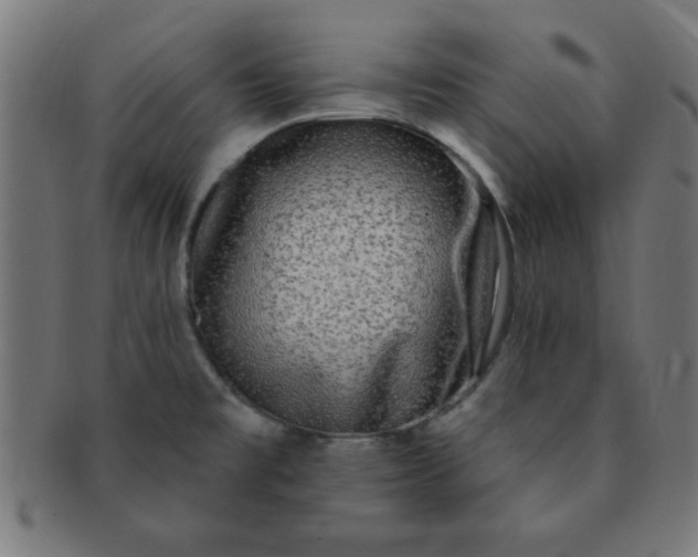 X0000091351477200708241235