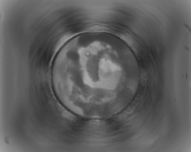 X0000091351478200708241235