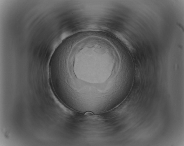 X0000091351479200708241235
