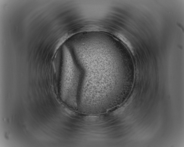 X0000091351481200708241235