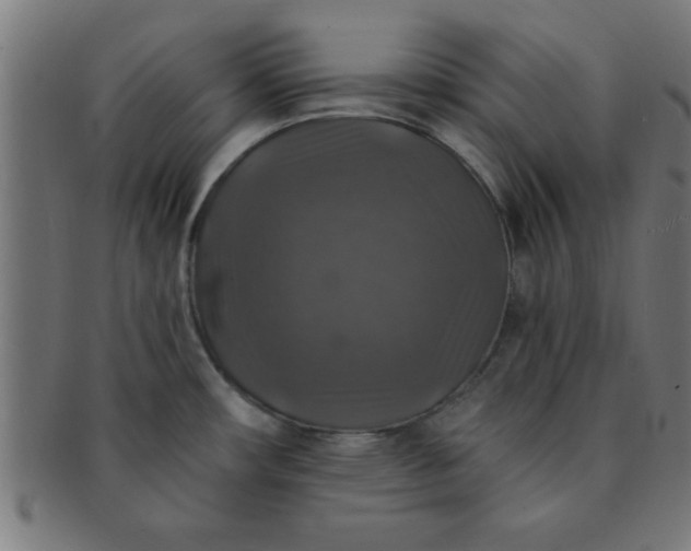 X0000091351482200708241235
