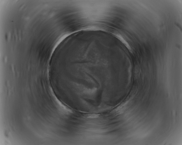 X0000091351484200708241235