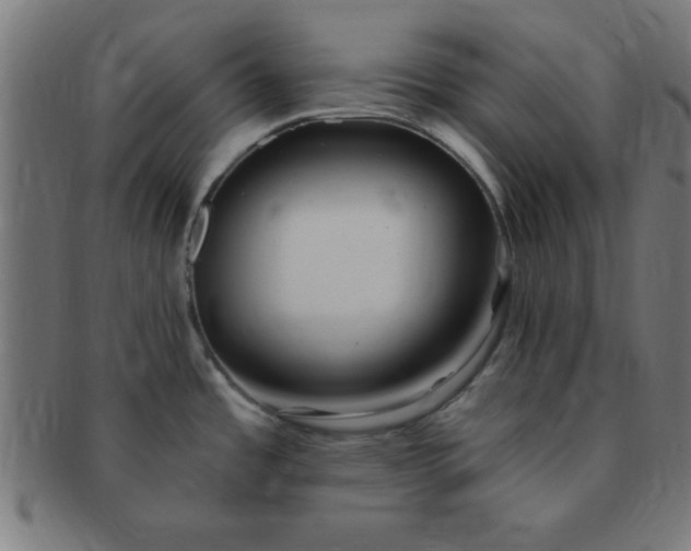 X0000091351485200708241235