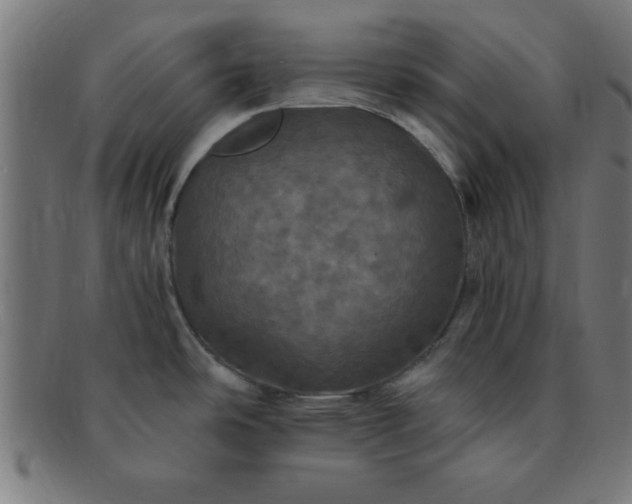X0000091351486200708241235