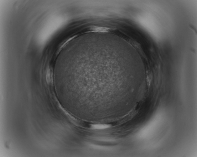 X0000091351487200708241235