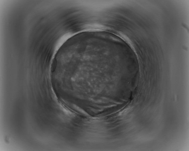 X0000091351488200708241235