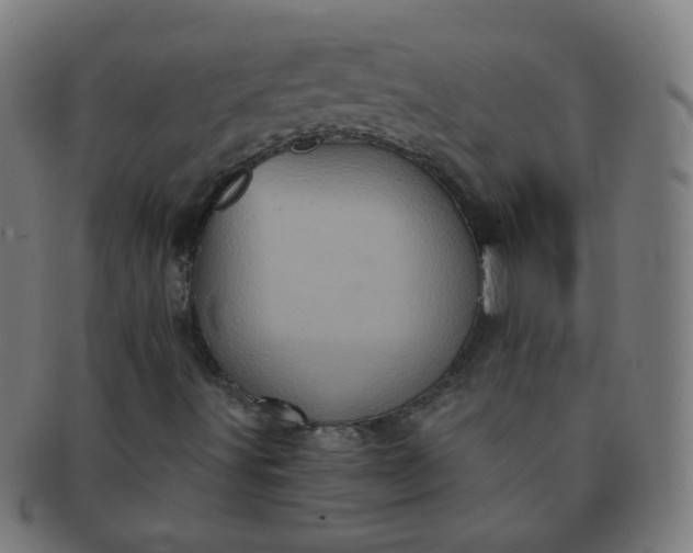 X0000091351491200708241234