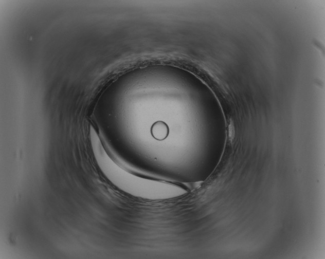 X0000091351492200708241234