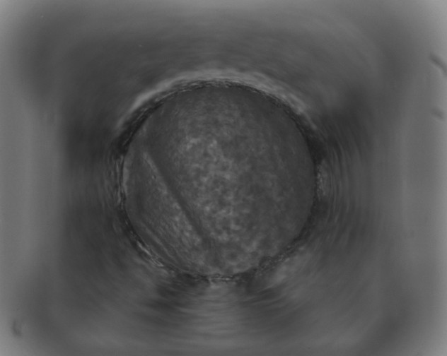 X0000091351494200708241234