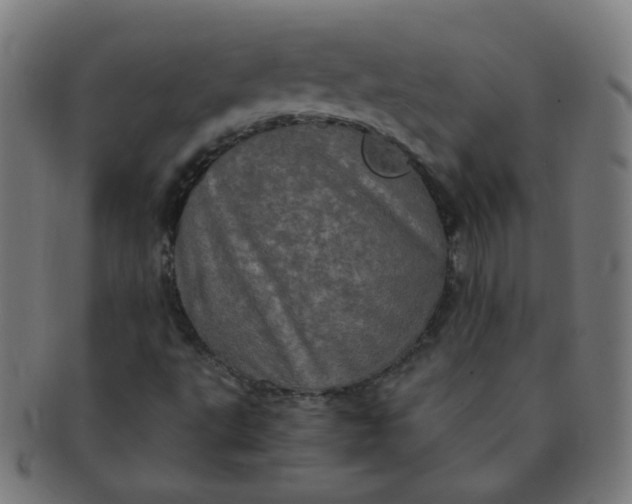 X0000091351495200708241234