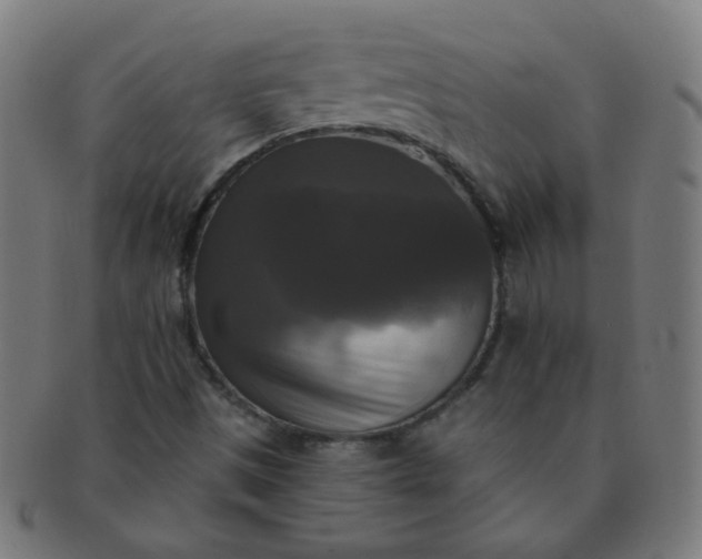 X0000091351497200708241234