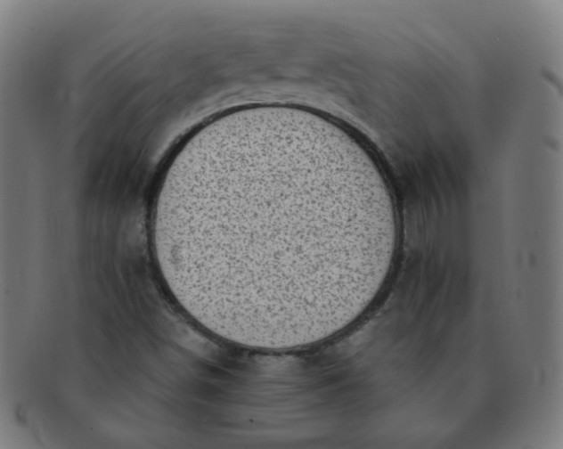 X0000091351498200708241234