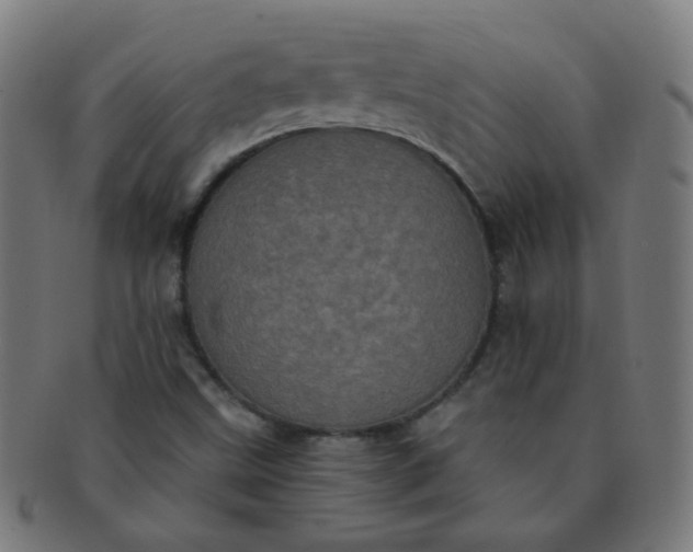 X0000091351499200708241234