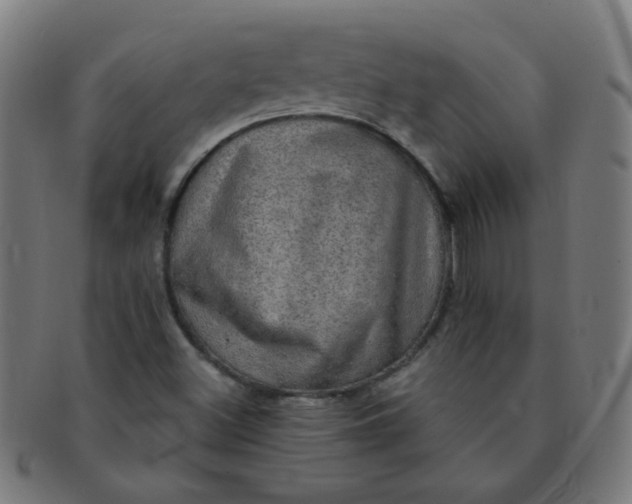 X0000091351500200708241234