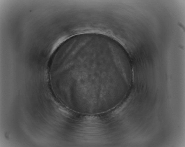 X0000091351501200708241234