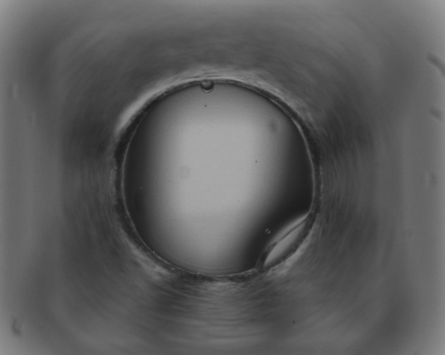 X0000091351502200708241234