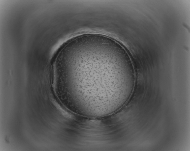 X0000091351503200708241234