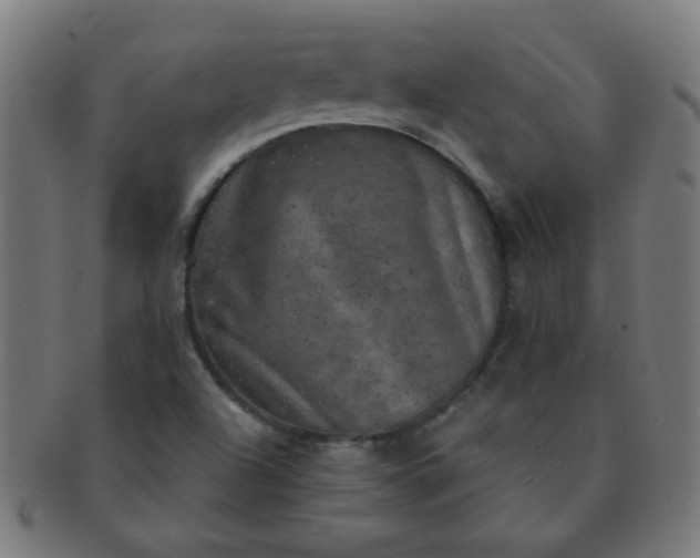 X0000091351504200708241234