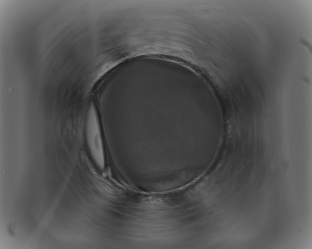 X0000091351505200708241234