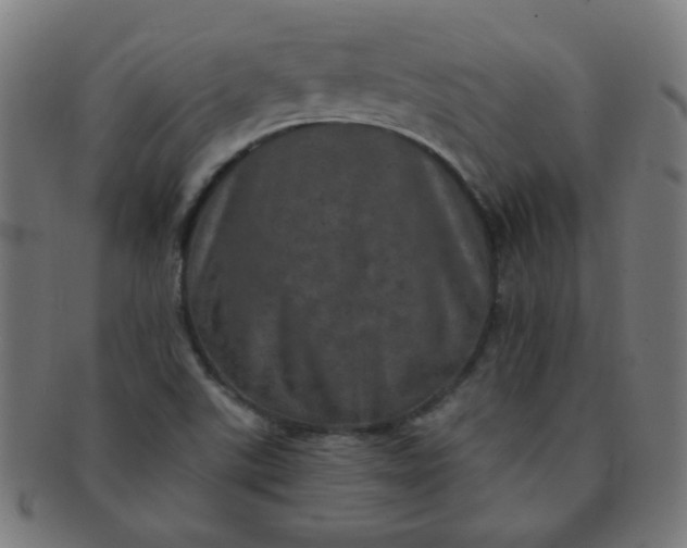 X0000091351507200708241234