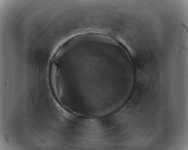 X0000091351508200708241234