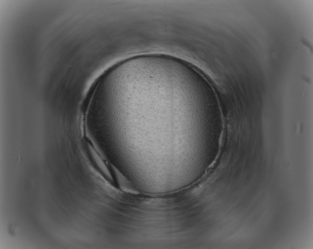 X0000091351510200708241234