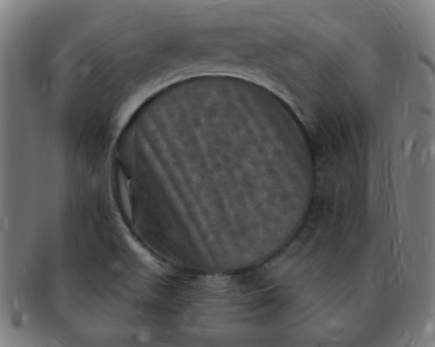 X0000091351511200708241234
