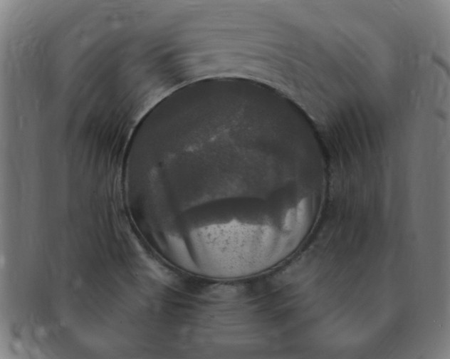X0000091351513200708241235