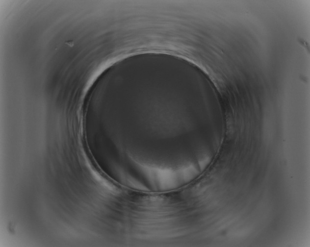X0000091351515200708241235