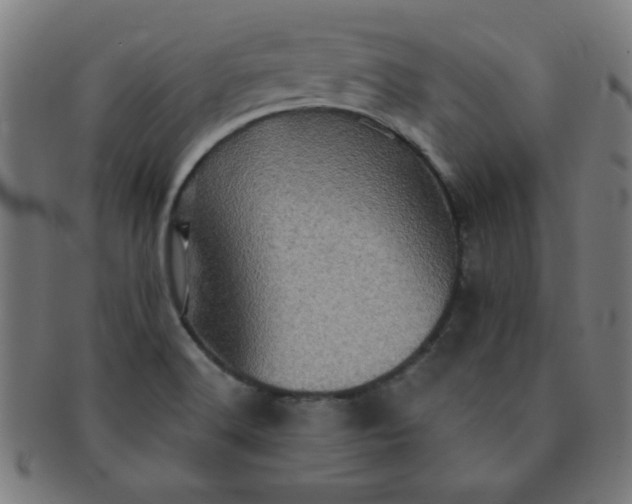 X0000091351516200708241235