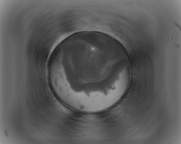 X0000091351517200708241235
