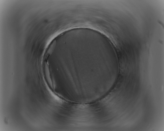 X0000091351519200708241235