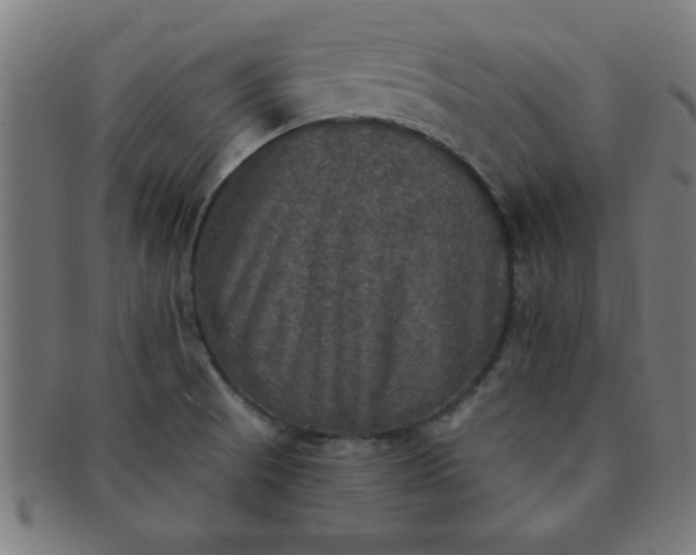 X0000091351521200708241235