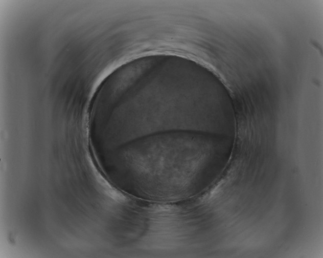 X0000091351522200708241235