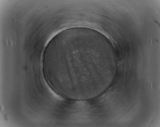 X0000091351523200708241235