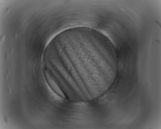 X0000091351524200708241235