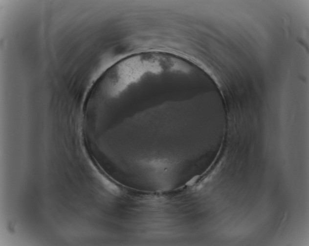 X0000091351525200708241235