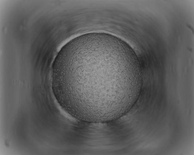 X0000091351526200708241235