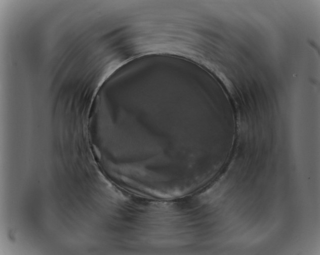 X0000091351529200708241235