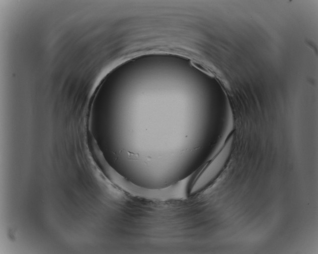 X0000091351530200708241235