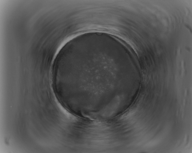 X0000091351531200708241235