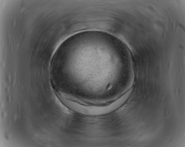 X0000091351532200708241235