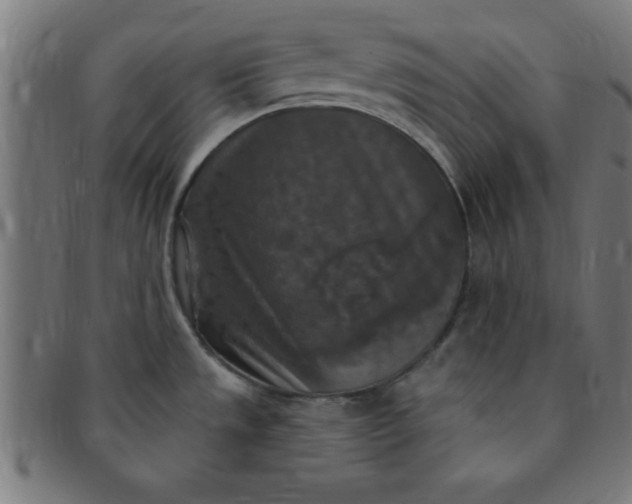 X0000091351533200708241235
