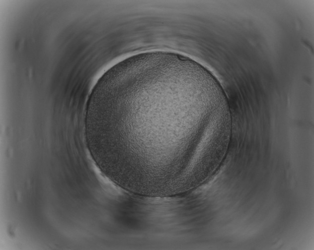 X0000091351534200708241235