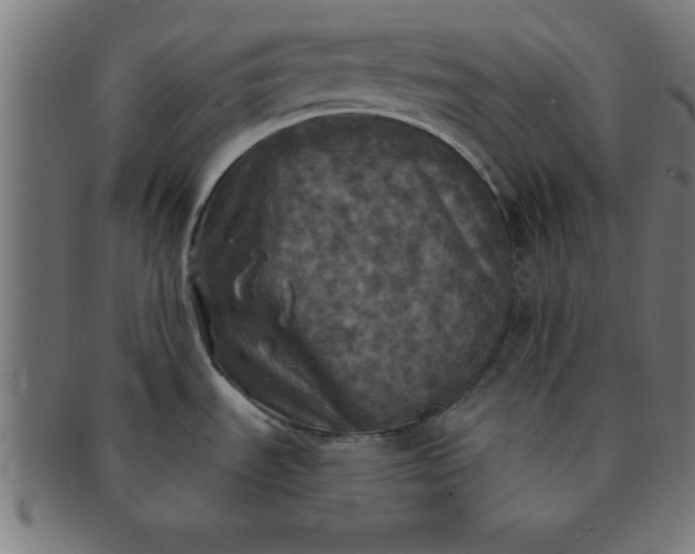 X0000091351535200708241235