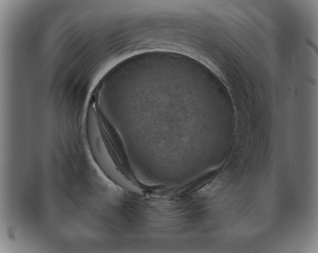 X0000091351536200708241235