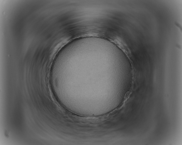X0000091350001200708311525