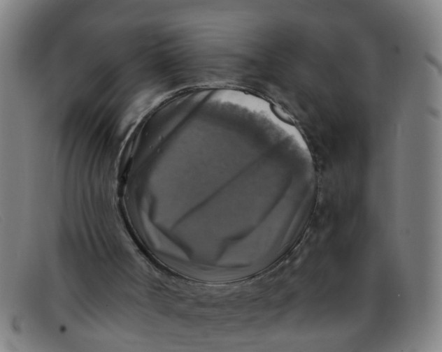 X0000091350002200708311525
