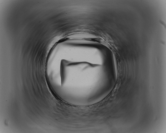 X0000091350003200708311525